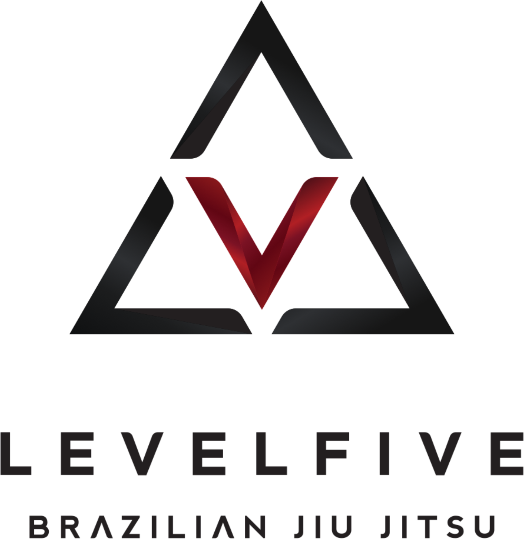 Level Five Brazilian Jiu Jitsu